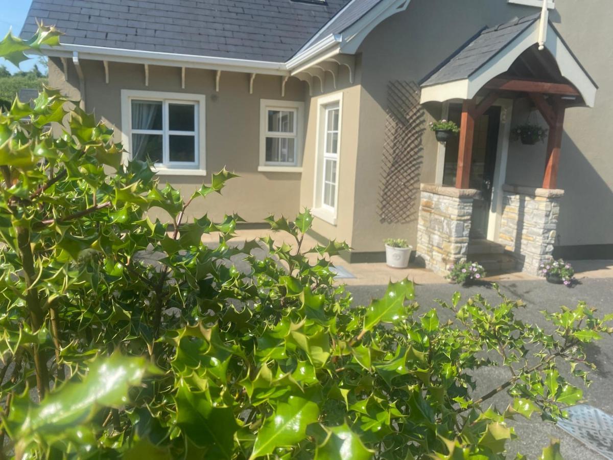 The Lodge Donegal Town Exterior photo